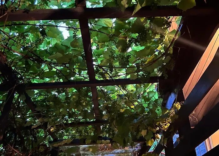 Nad Jeziorem * Gietrzwałd